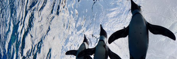 patato141 Profile Banner