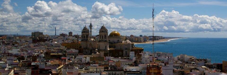 JaviDelfin's profile banner image