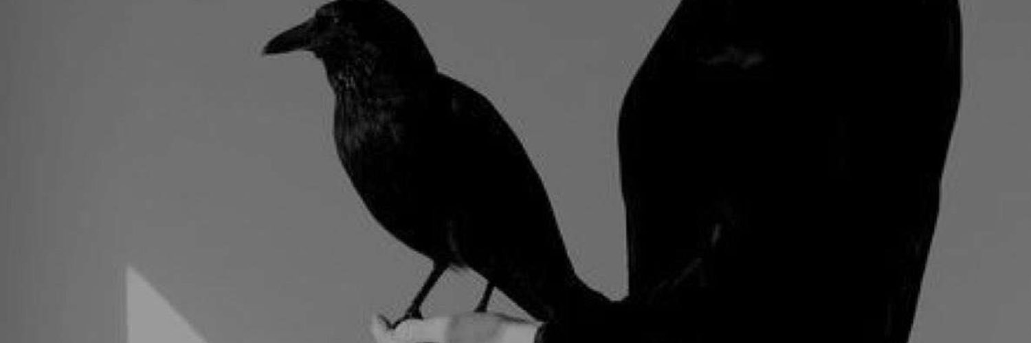 W3dek94's profile banner image