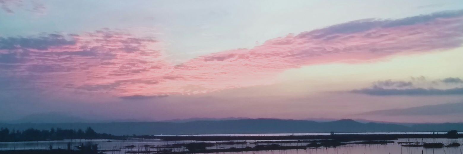 altairoy's profile banner image