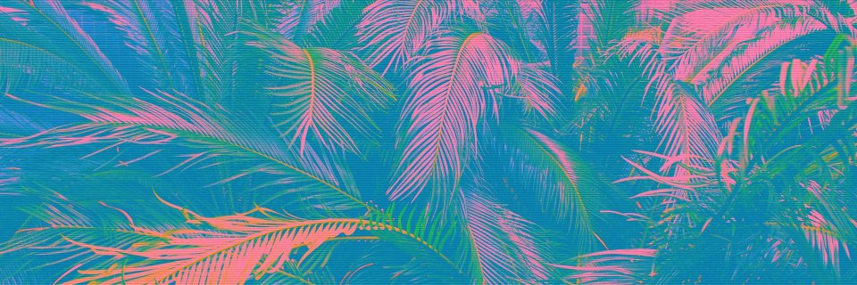 wildtarzan's profile banner image