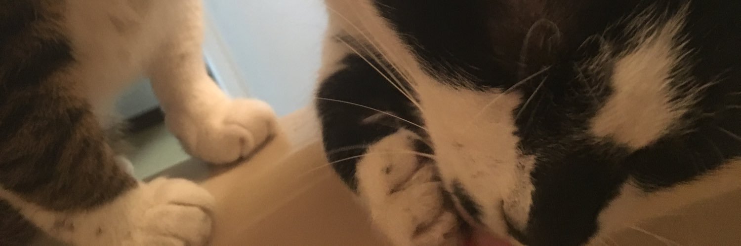 NotKwkb's profile banner image