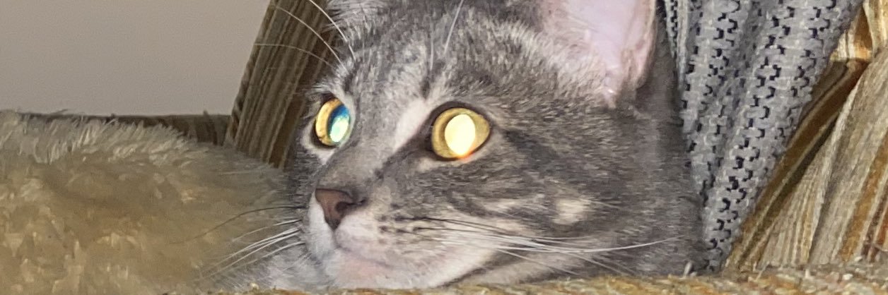 bekahgo's profile banner image