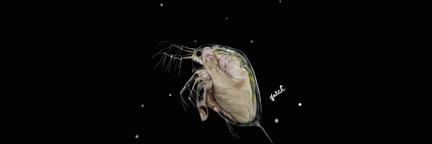 gotch_art's profile banner image