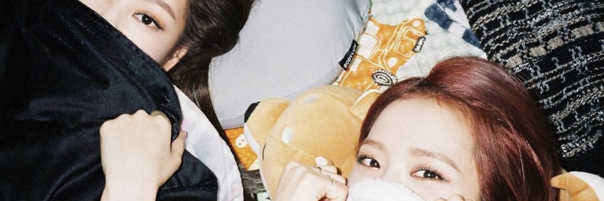 🐰 banner