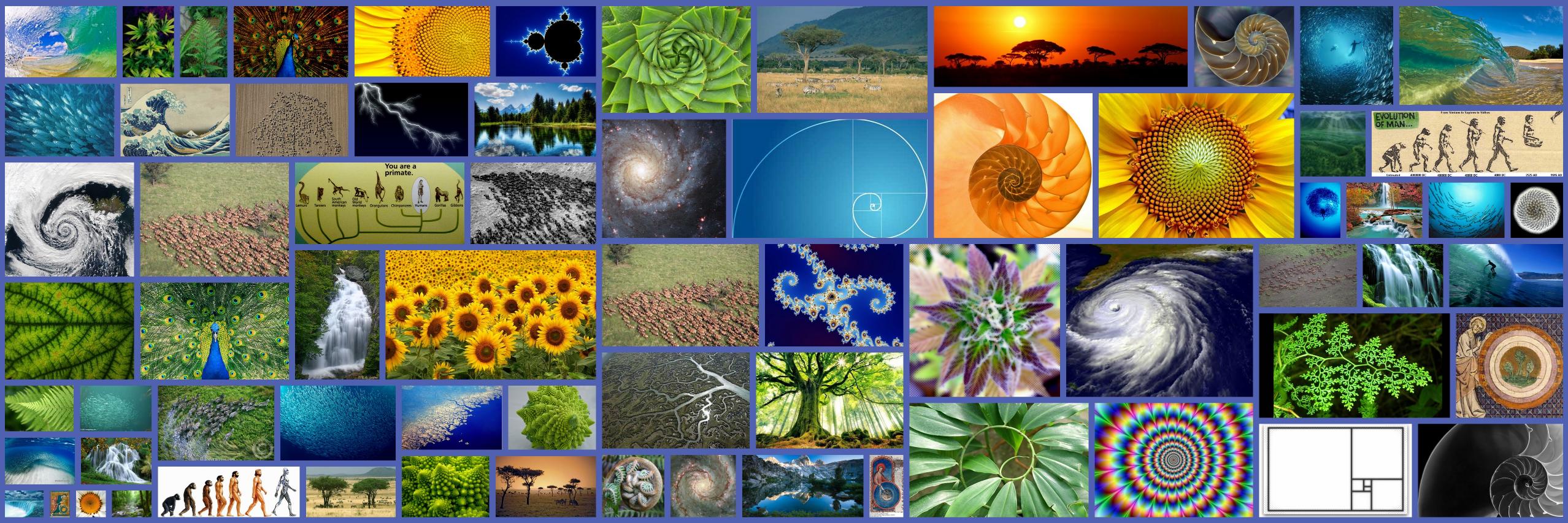 GreaterSchema's profile banner image