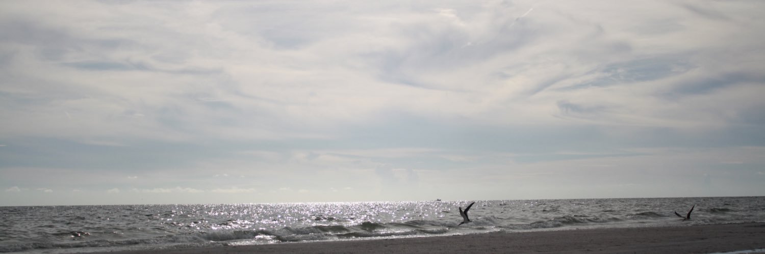 gigiigarcia's profile banner image