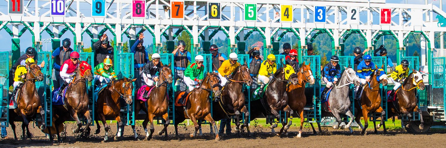 Emerald Downs's banner