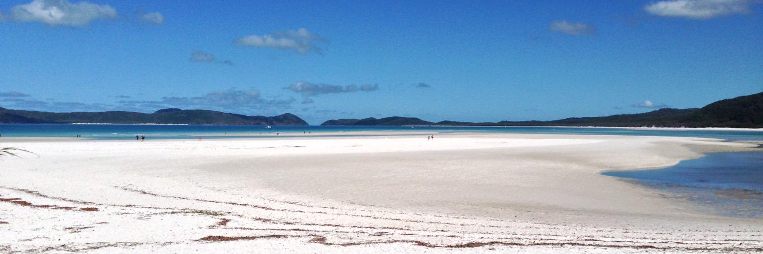 Will Ainscough banner