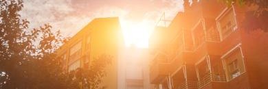 mirayes86's profile banner image