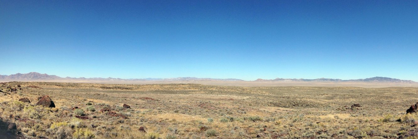 David Bartholomew banner