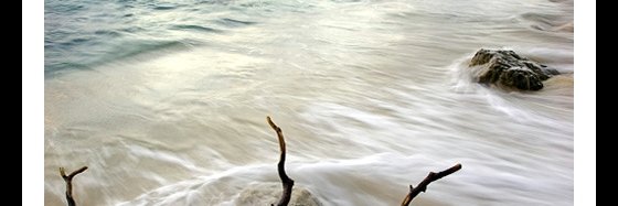 خالد الجاسر banner