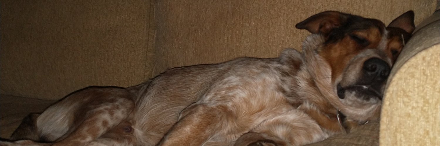 mrsscotteasley's profile banner image