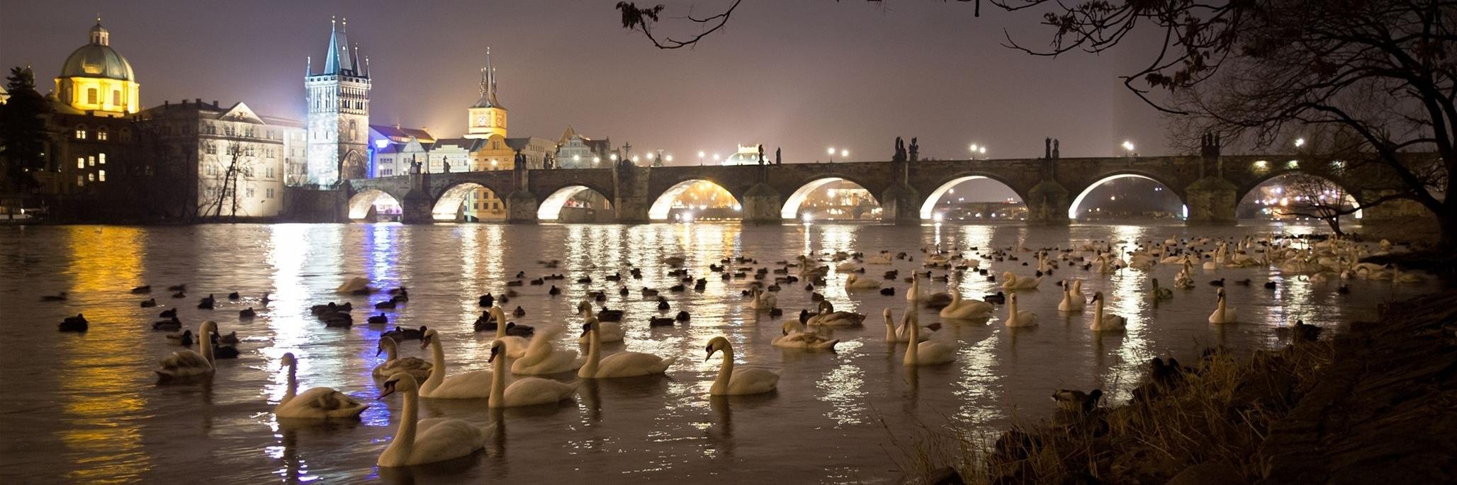 Daneček 🇨🇿 🇮🇪 banner