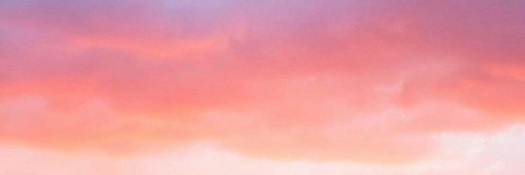 camiles__'s profile banner image