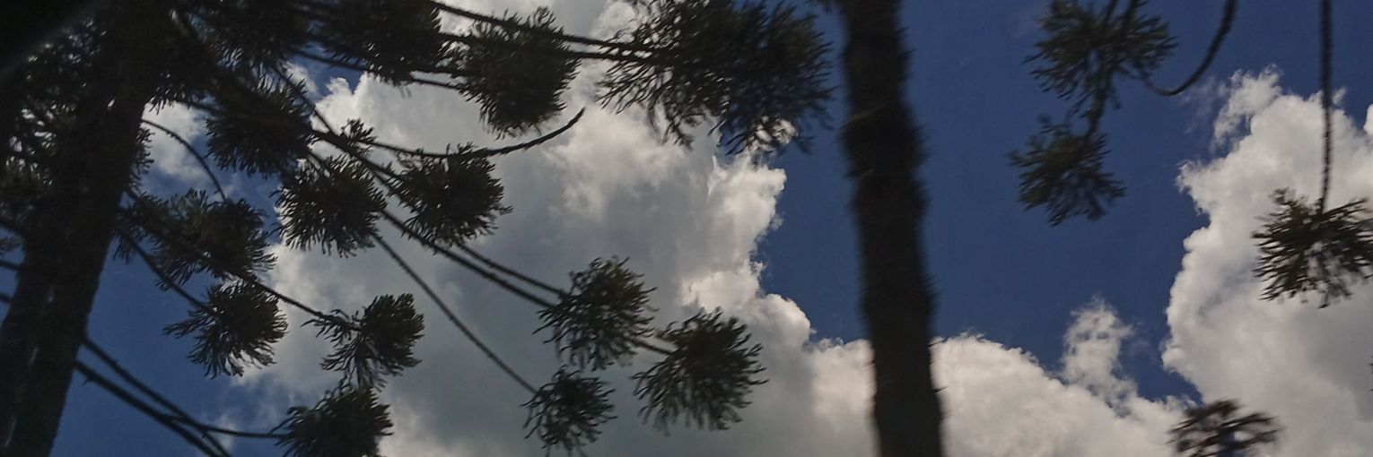 CatiTrevi's profile banner image