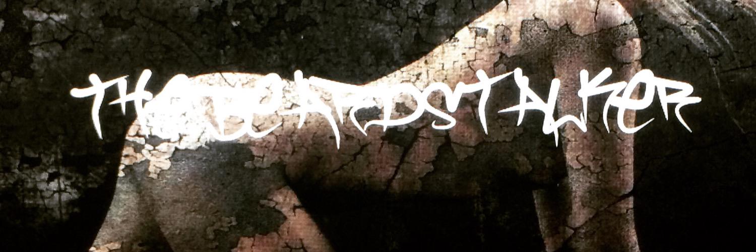 THEBEARDSTALKER's profile banner image