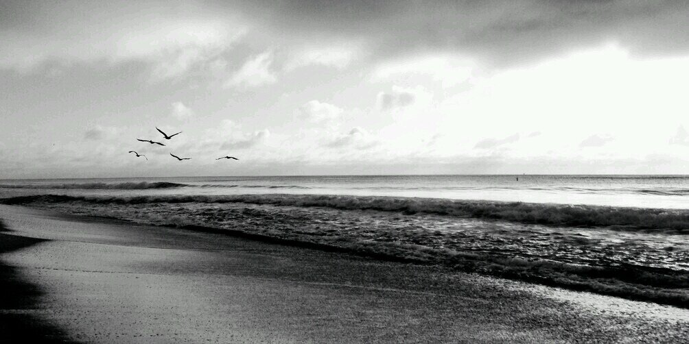 PallThorPalsson's profile banner image