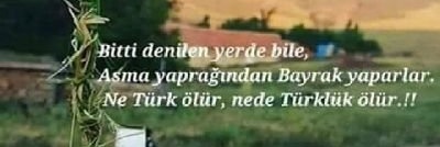 ademoglu70's profile banner image