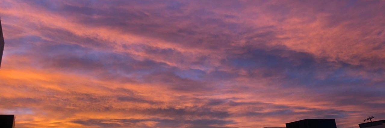 MichelleOrtiz__'s profile banner image