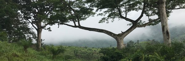 mpauthner Profile Banner