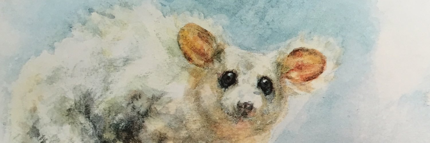 kellieconforth's profile banner image