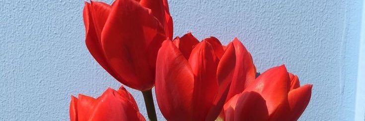 adoriam_'s profile banner image