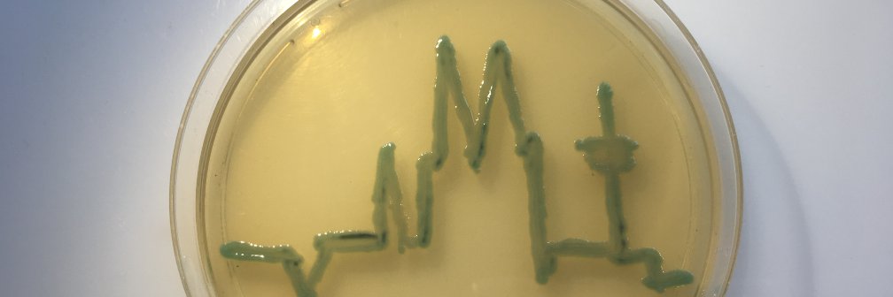 paul g higgins banner