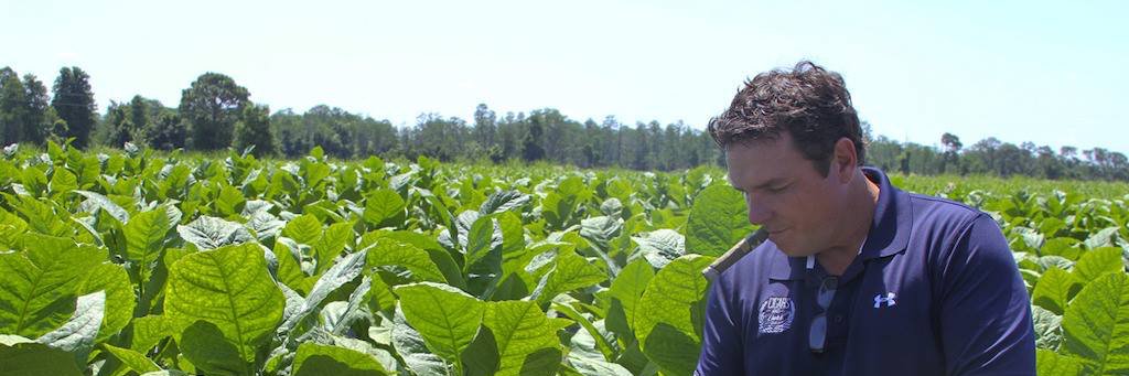 FloridaSunGrown's profile banner image