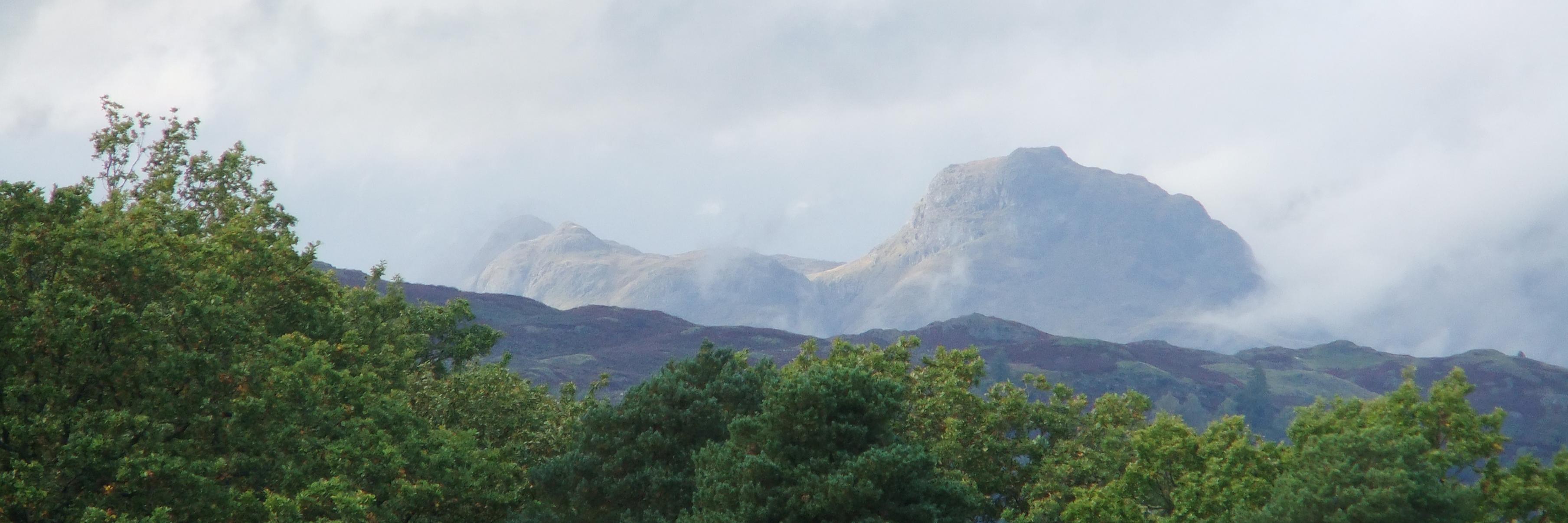 Claire Fitzpatrick banner