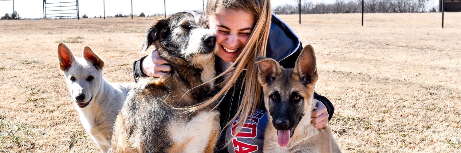 Lexi Sheely banner