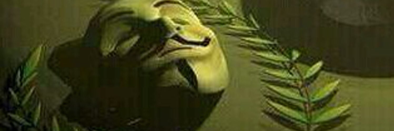 normalizuka's profile banner image