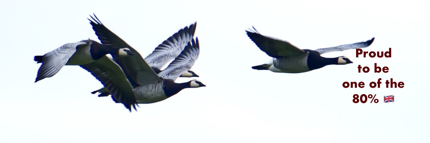 Ann Sheridan One of the 80% 🇬🇧🇺🇦🇬🇧🇮🇱🇬🇧 banner