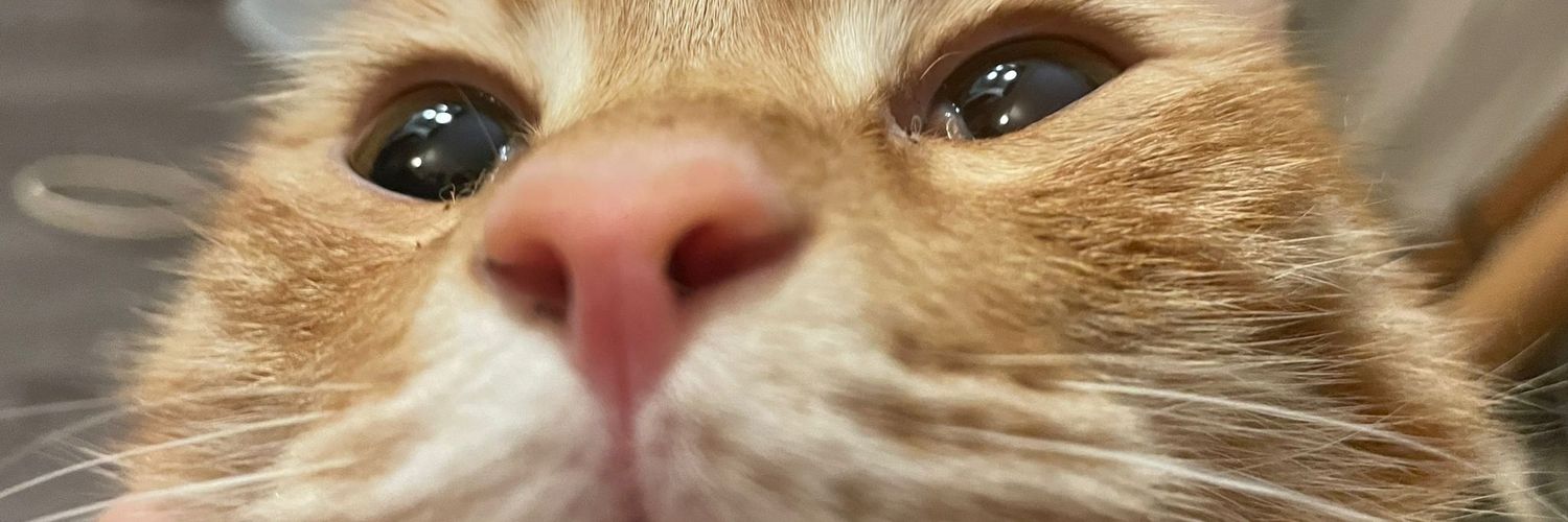 slomanguy's profile banner image