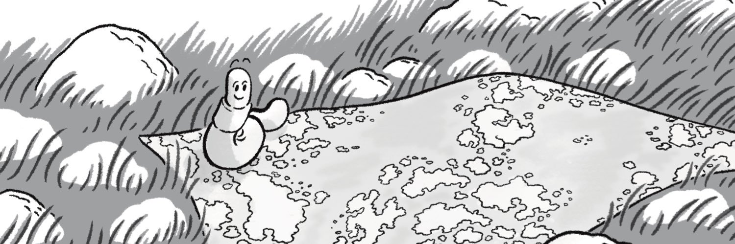 soccerbellla's profile banner image