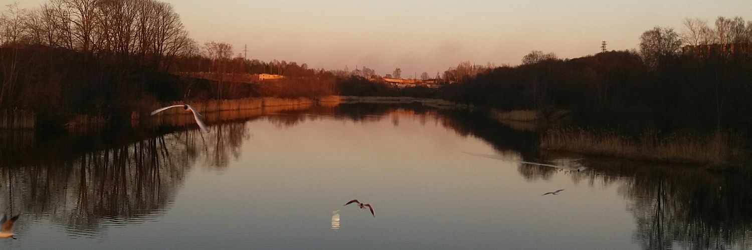 nmikolyuk's profile banner image