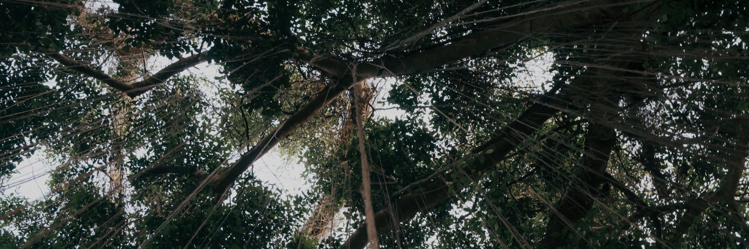 SnowAnton's profile banner image