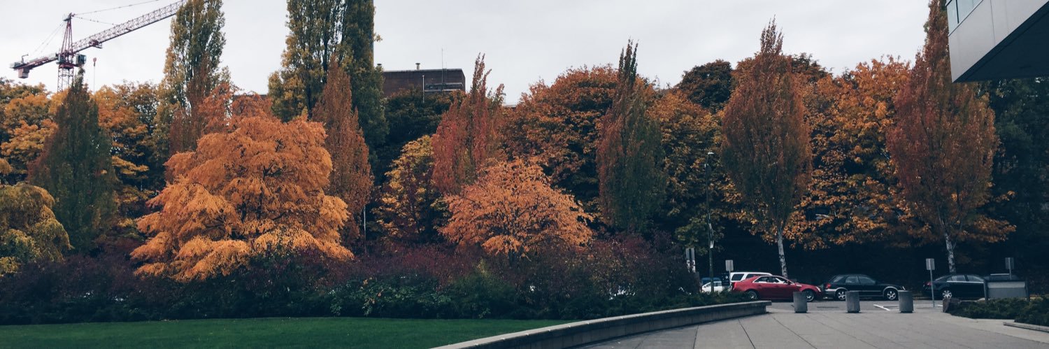 naamsn's profile banner image