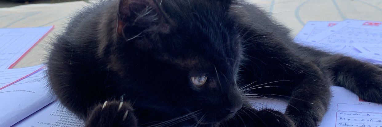 CClerfayt's profile banner image