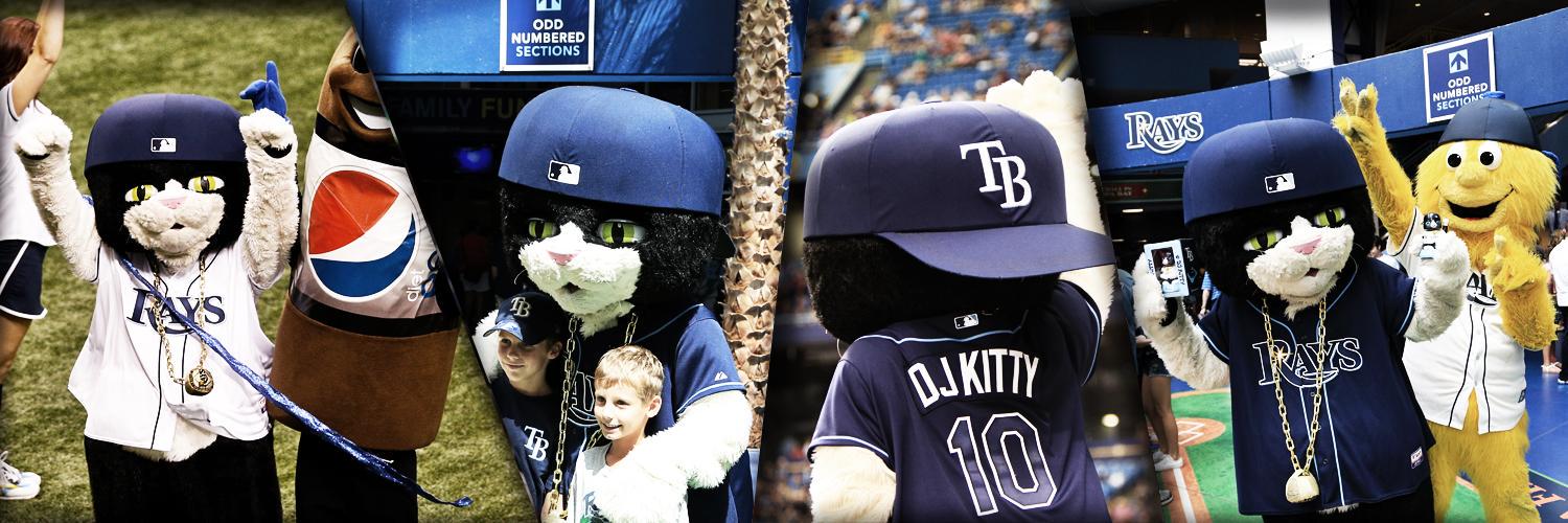 RaysDJKitty's profile banner image