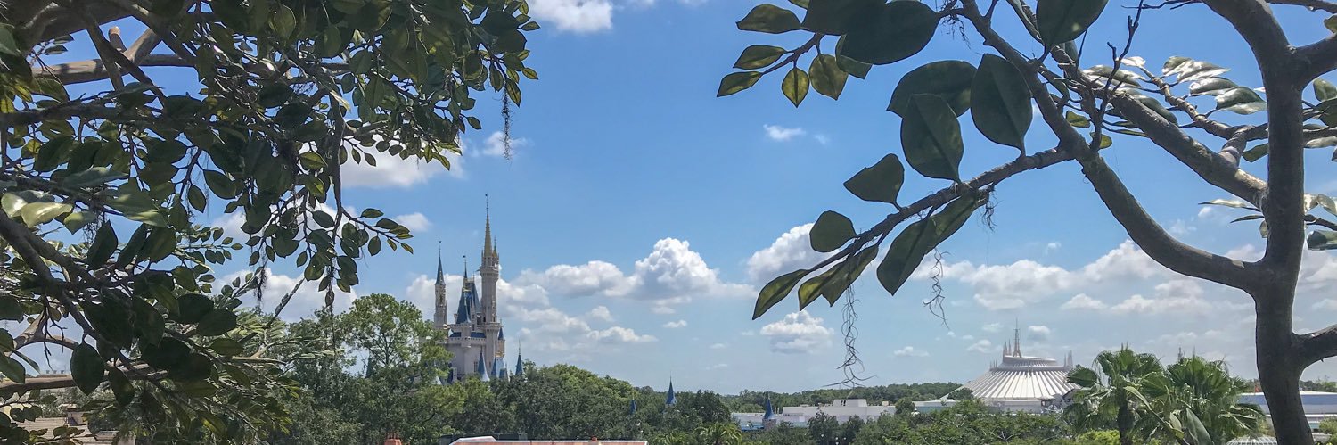 _abbiemccallum's profile banner image