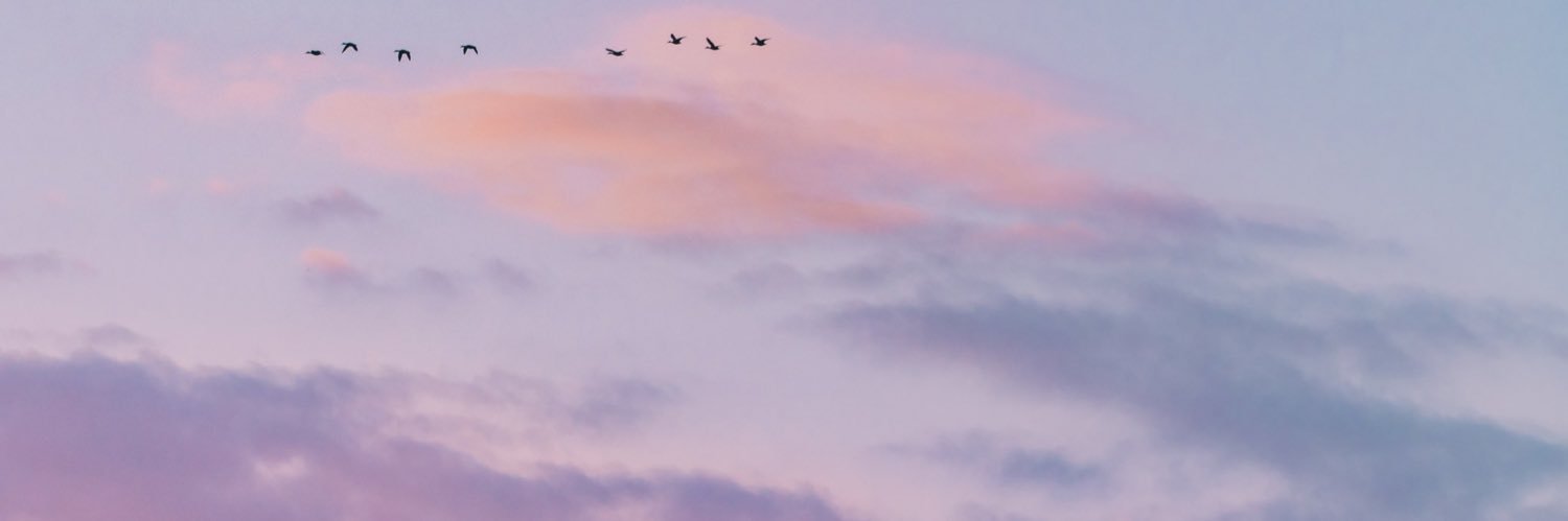 daphne 🍃🌵 banner