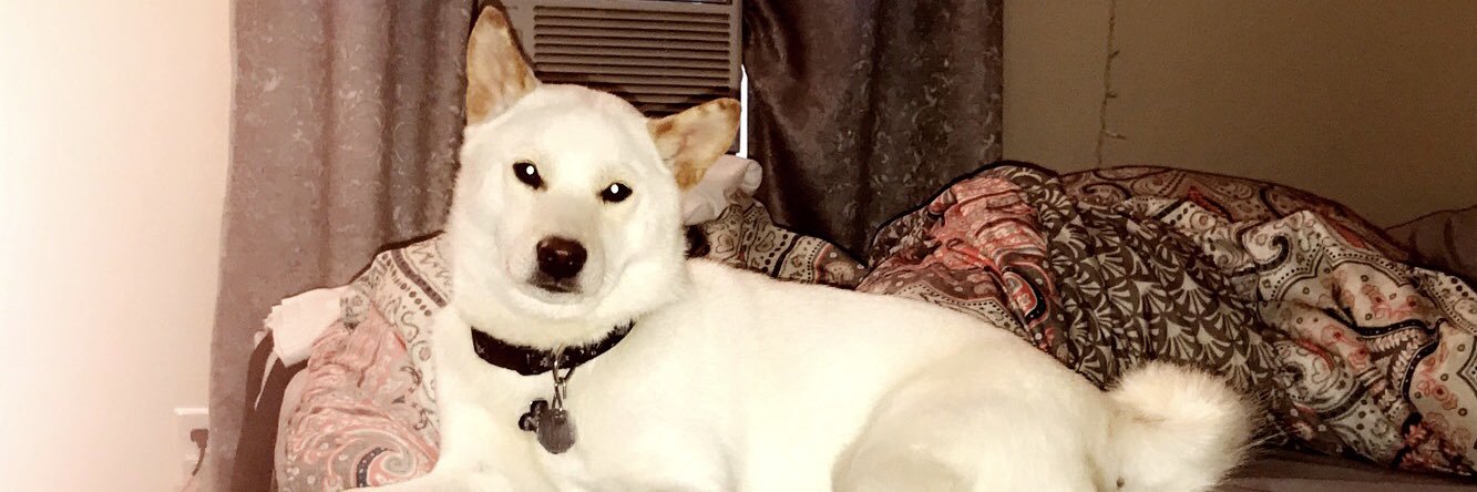 breannlinsey's profile banner image