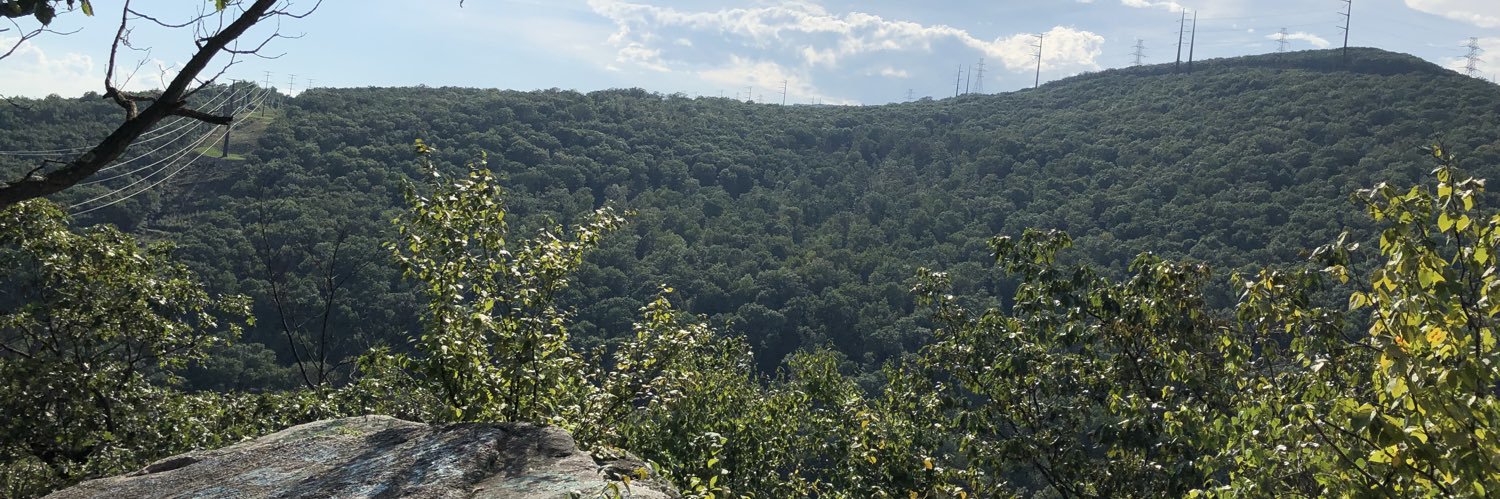 kylebrady20's profile banner image
