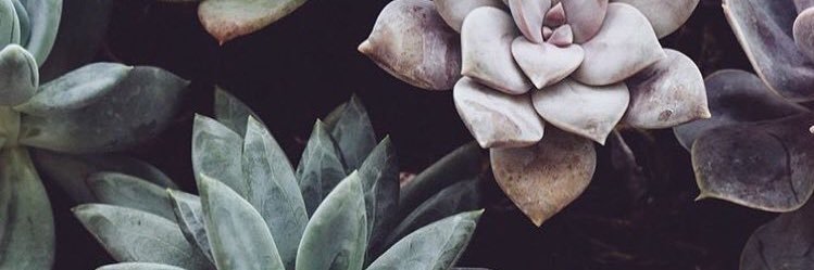 kocecem's profile banner image
