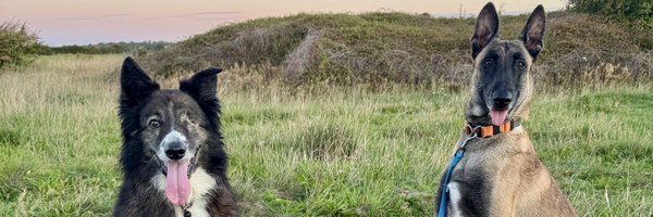 WoofsWithWilson Profile Banner