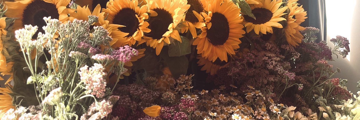 emileej34's profile banner image