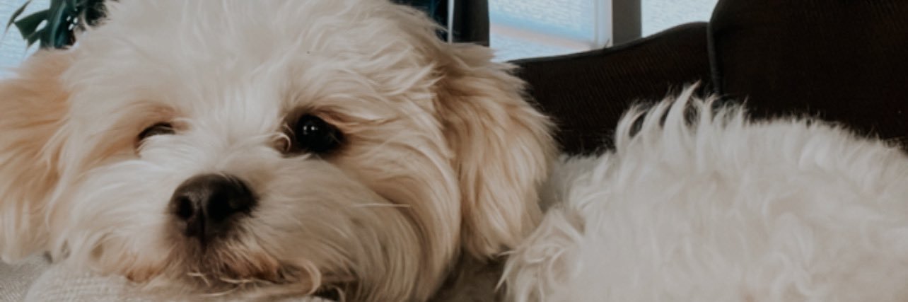 maxeeeeen's profile banner image