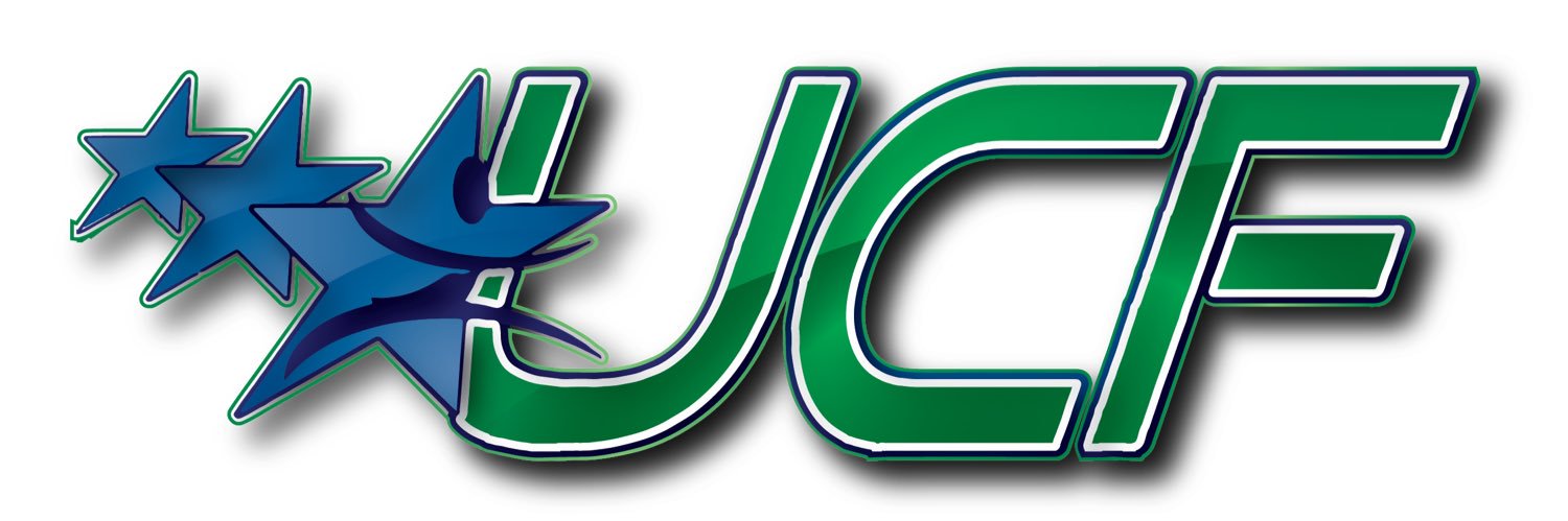 Univ Cheer Force banner