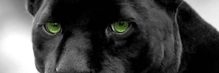 exner1957's profile banner image